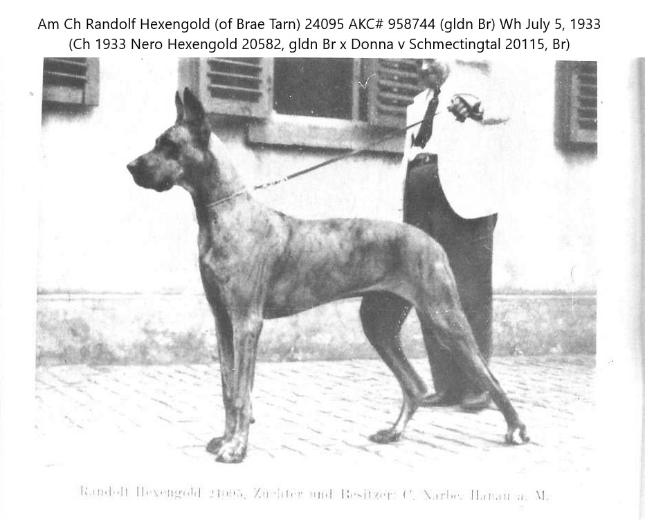 Randolf Hexengold
